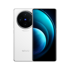 vivo X100 vivo X100