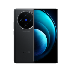 vivo X100 vivo X100