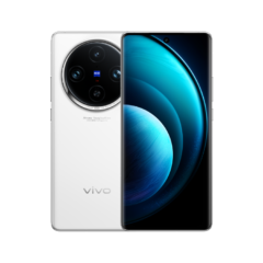 vivo X100 Pro